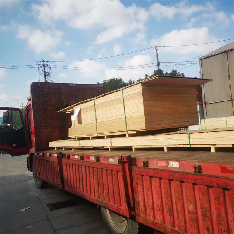 黑龙江哈尔滨呼兰至塔城货运专线，一站式物流服务助您成功